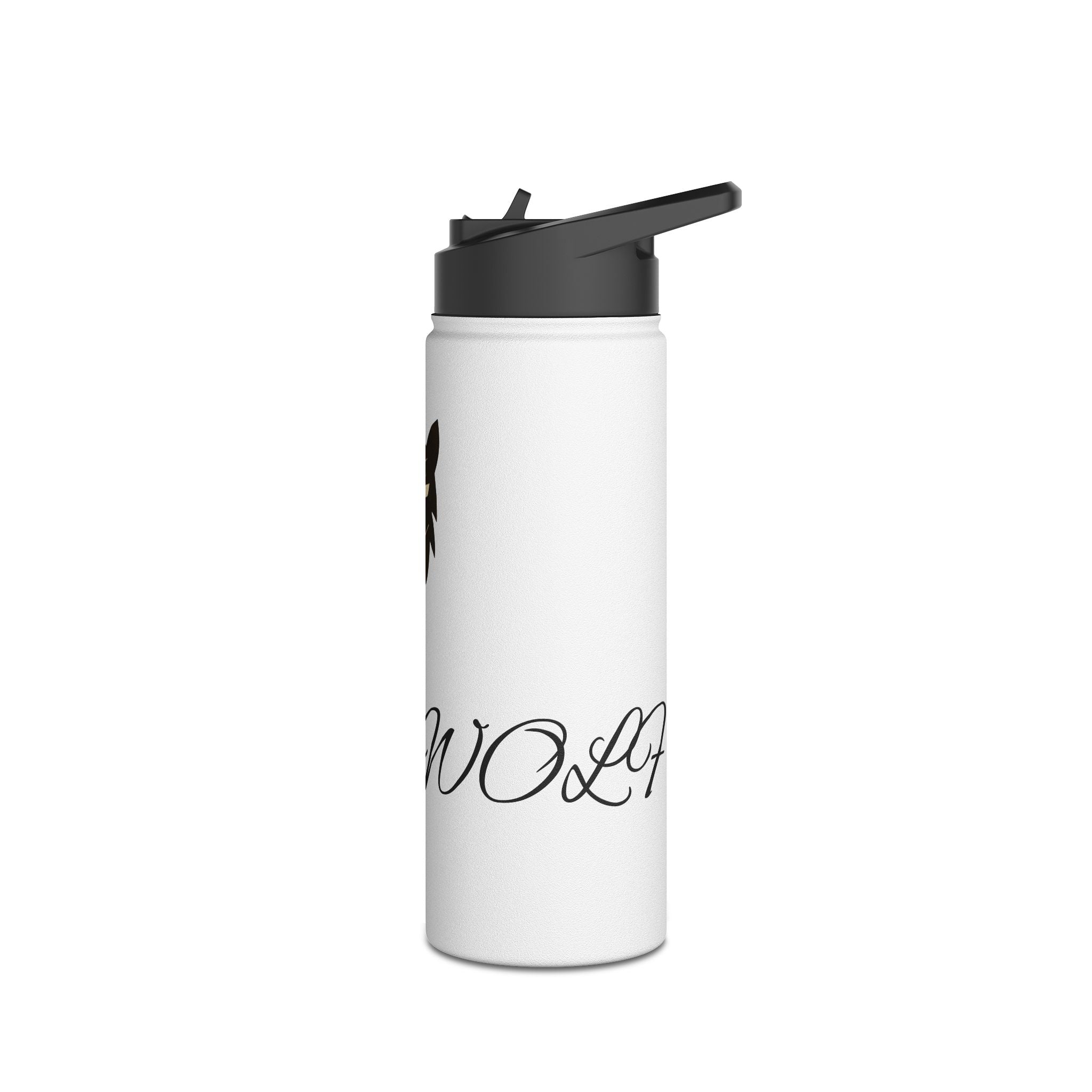Stainless Steel Water Bottle, Standard Lid